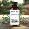 image:imageMajestic Pure Tea Tree Essential Oil for Diffuser  4 Fl OzRosemary