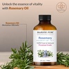image:imageMajestic Pure Tea Tree Essential Oil for Diffuser  4 Fl OzRosemary