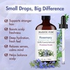 image:imageMajestic Pure Tea Tree Essential Oil for Diffuser  4 Fl OzRosemary