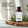 image:imageMajestic Pure Tea Tree Essential Oil for Diffuser  4 Fl OzRosemary