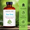 image:imageMajestic Pure Tea Tree Essential Oil for Diffuser  4 Fl OzTea Tree