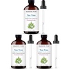 image:imageMajestic Pure Tea Tree Essential Oil for Diffuser  4 Fl OzTea Tree