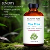 image:imageMajestic Pure Tea Tree Essential Oil for Diffuser  4 Fl OzTea Tree