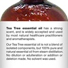 image:imageMajestic Pure Tea Tree Essential Oil for Diffuser  4 Fl OzTea Tree