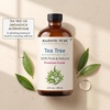 image:imageMajestic Pure Tea Tree Essential Oil for Diffuser  4 Fl OzTea Tree