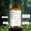 image:imageMajestic Pure Tea Tree Essential Oil for Diffuser  4 Fl OzTea Tree