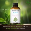 image:imageMajestic Pure Tea Tree Essential Oil for Diffuser  4 Fl OzTea Tree