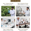 image:imageMajestic Pure Tea Tree Essential Oil for Diffuser  4 Fl OzTea Tree