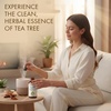 image:imageMajestic Pure Tea Tree Essential Oil for Diffuser  4 Fl OzTea Tree