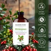 image:imageMajestic Pure Tea Tree Essential Oil for Diffuser  4 Fl OzWintergreen