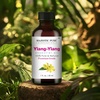 image:imageMajestic Pure Tea Tree Essential Oil for Diffuser  4 Fl OzYlang Ylang