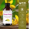 image:imageMajestic Pure Tea Tree Essential Oil for Diffuser  4 Fl OzYlang Ylang