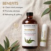 image:imageMajestic Pure Tea Tree Essential Oil with Nasal Inhaler  4 Fl OzEucalyptus