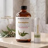 image:imageMajestic Pure Tea Tree Essential Oil with Nasal Inhaler  4 Fl OzEucalyptus