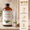 image:imageMajestic Pure Tea Tree Essential Oil with Nasal Inhaler  4 Fl OzEucalyptus