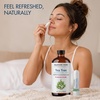 image:imageMajestic Pure Tea Tree Essential Oil with Nasal Inhaler  4 Fl OzTea Tree