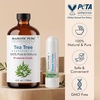 image:imageMajestic Pure Tea Tree Essential Oil with Nasal Inhaler  4 Fl OzTea Tree