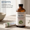 image:imageMajestic Pure Tea Tree Essential Oil with Nasal Inhaler  4 Fl OzTea Tree
