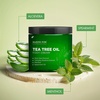 image:imageMajestic Pure Tea Tree Foot Cream with Tea Tree Oil  8 OzTea Tree