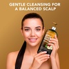 image:imageMajestic Pure Tea Tree Shampoo 16 Fl OzApple Cider Vinegar