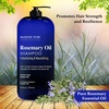 image:imageMajestic Pure Tea Tree Shampoo 16 Fl OzRosemary