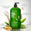image:imageMajestic Pure Tea Tree Shampoo 16 Fl OzTea Tree