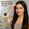 image:imageMajestic Pure USDA Organic Castor Oil 100 Pure amp Natural Body Oil 8 FlOzCastor Oil