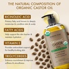 image:imageMajestic Pure USDA Organic Castor Oil 100 Pure amp Natural Body Oil 8 FlOzCastor Oil with wraps