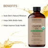 image:imageMajestic Pure USDA Organic Castor Oil 100 Pure amp Natural Body Oil 8 FlOzOrganic Castor