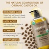 image:imageMajestic Pure USDA Organic Castor Oil 100 Pure amp Natural Body Oil 8 FlOzOrganic Castor