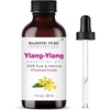 image:imageMajestic Pure Tea Tree Essential Oil for Diffuser  4 Fl OzYlang Ylang