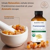 image:imageMajestic Pure Frankincense Essential Oil for Diffuser  1 Fl OzFrankincense