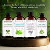 image:imageMajestic Pure Frankincense Essential Oil for Diffuser  1 Fl OzTea Tree