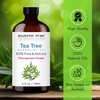 image:imageMajestic Pure Frankincense Essential Oil for Diffuser  1 Fl OzTea Tree