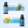image:imageMajestic Pure Restful Night Essential Oil Gift Set  Pack of 4Essential Oil Gift Set