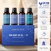 image:imageMajestic Pure Restful Night Essential Oil Gift Set  Pack of 4Essential Oil Gift Set