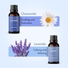 image:imageMajestic Pure Restful Night Essential Oil Gift Set  Pack of 4Essential Oil Gift Set
