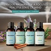 image:imageMajestic Pure Restful Night Essential Oil Gift Set  Pack of 4Meditation Essential Oil Set