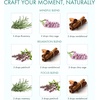 image:imageMajestic Pure Restful Night Essential Oil Gift Set  Pack of 4Meditation Essential Oil Set