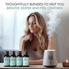 image:imageMajestic Pure Restful Night Essential Oil Gift Set  Pack of 4Meditation Essential Oil Set