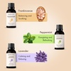 image:imageMajestic Pure Restful Night Essential Oil Gift Set  Pack of 4Pet Essential Oil Set