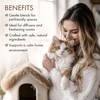 image:imageMajestic Pure Restful Night Essential Oil Gift Set  Pack of 4Pet Essential Oil Set