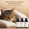 image:imageMajestic Pure Restful Night Essential Oil Gift Set  Pack of 4Pet Essential Oil Set
