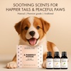 image:imageMajestic Pure Restful Night Essential Oil Gift Set  Pack of 4Pet Essential Oil Set