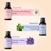 image:imageMajestic Pure Restful Night Essential Oil Gift Set  Pack of 4Yoga Essential Oil Gift Set