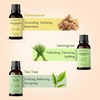 image:imageMajestic Pure Restful Night Essential Oil Gift Set  Pack of 4Yoga Essential Oil Gift Set