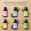 image:imageMajestic Pure Restful Night Essential Oil Gift Set  Pack of 4Yoga Essential Oil Gift Set