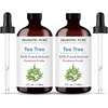 image:imageMajestic Pure Frankincense Essential Oil for Diffuser  1 Fl OzTea Tree
