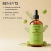 image:imageMajestic Pure Arnica Oil 100 Pure and Natural  4 Fl OzAmla OIl