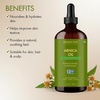 image:imageMajestic Pure Arnica Oil 100 Pure and Natural  4 Fl OzArnica Oil